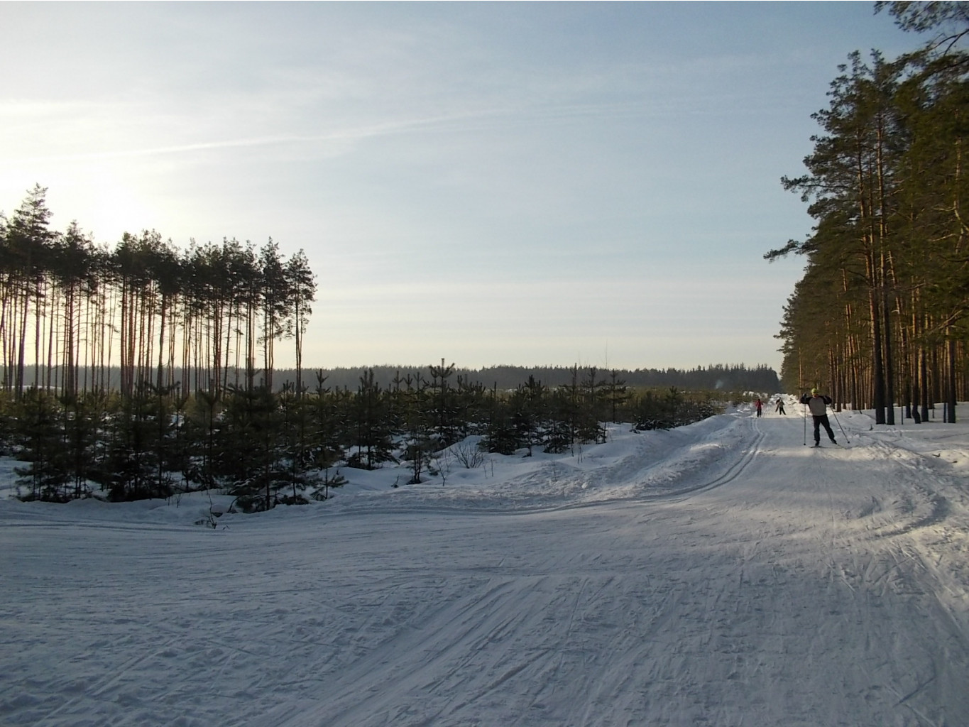 DSCN4815.JPG