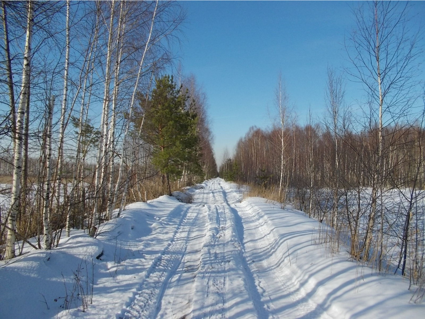 DSCN4856.JPG