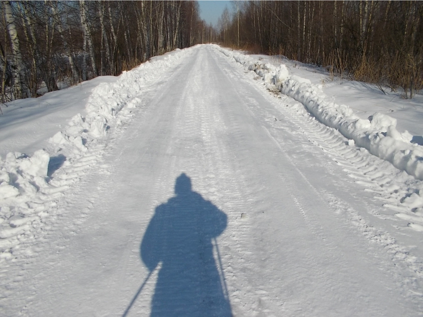DSCN4901.JPG