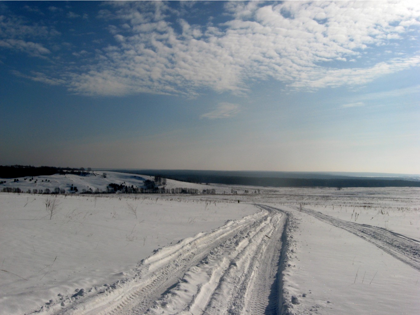 IMG_2664.JPG