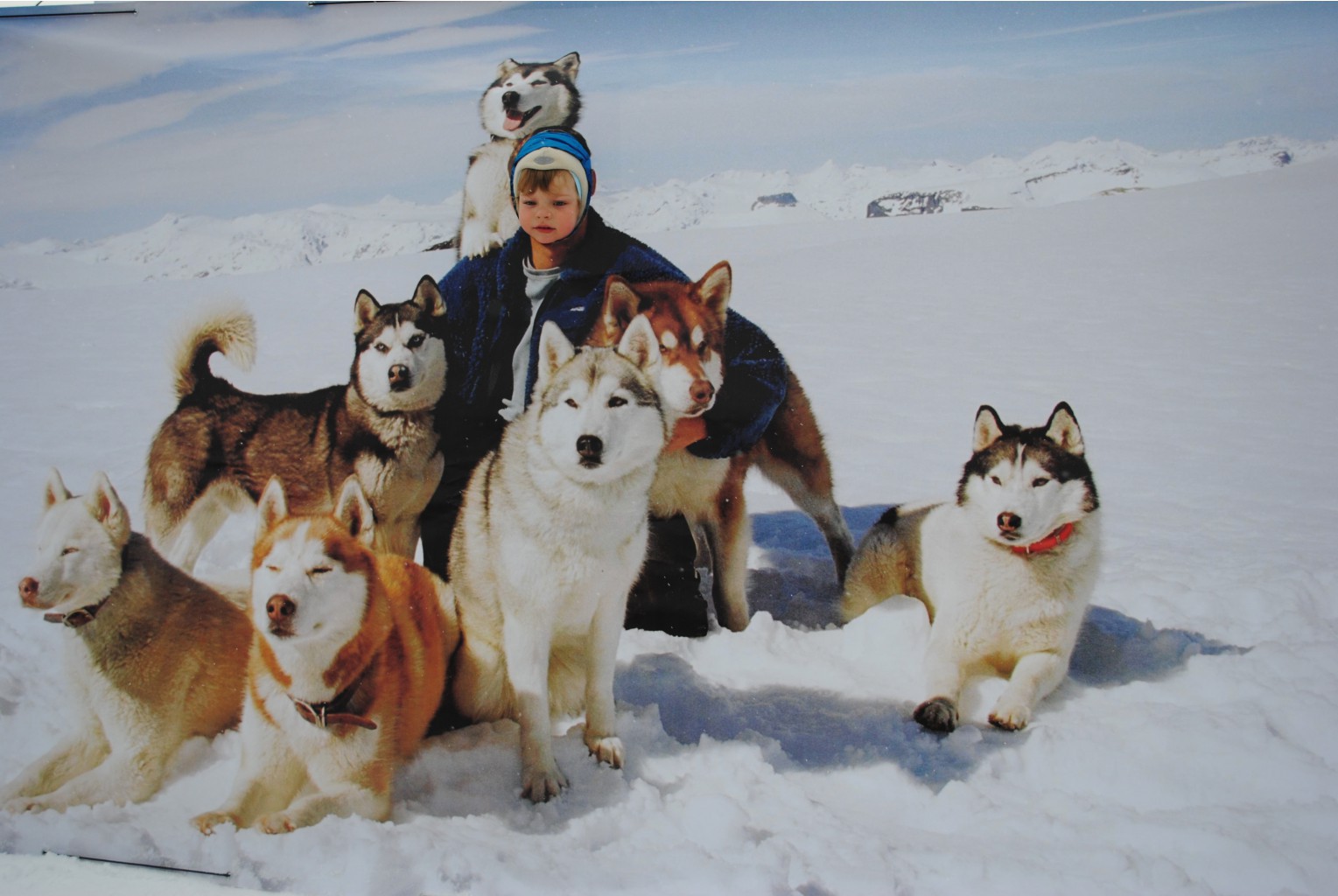 DSC_1481.JPG