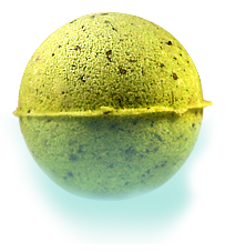   55.png