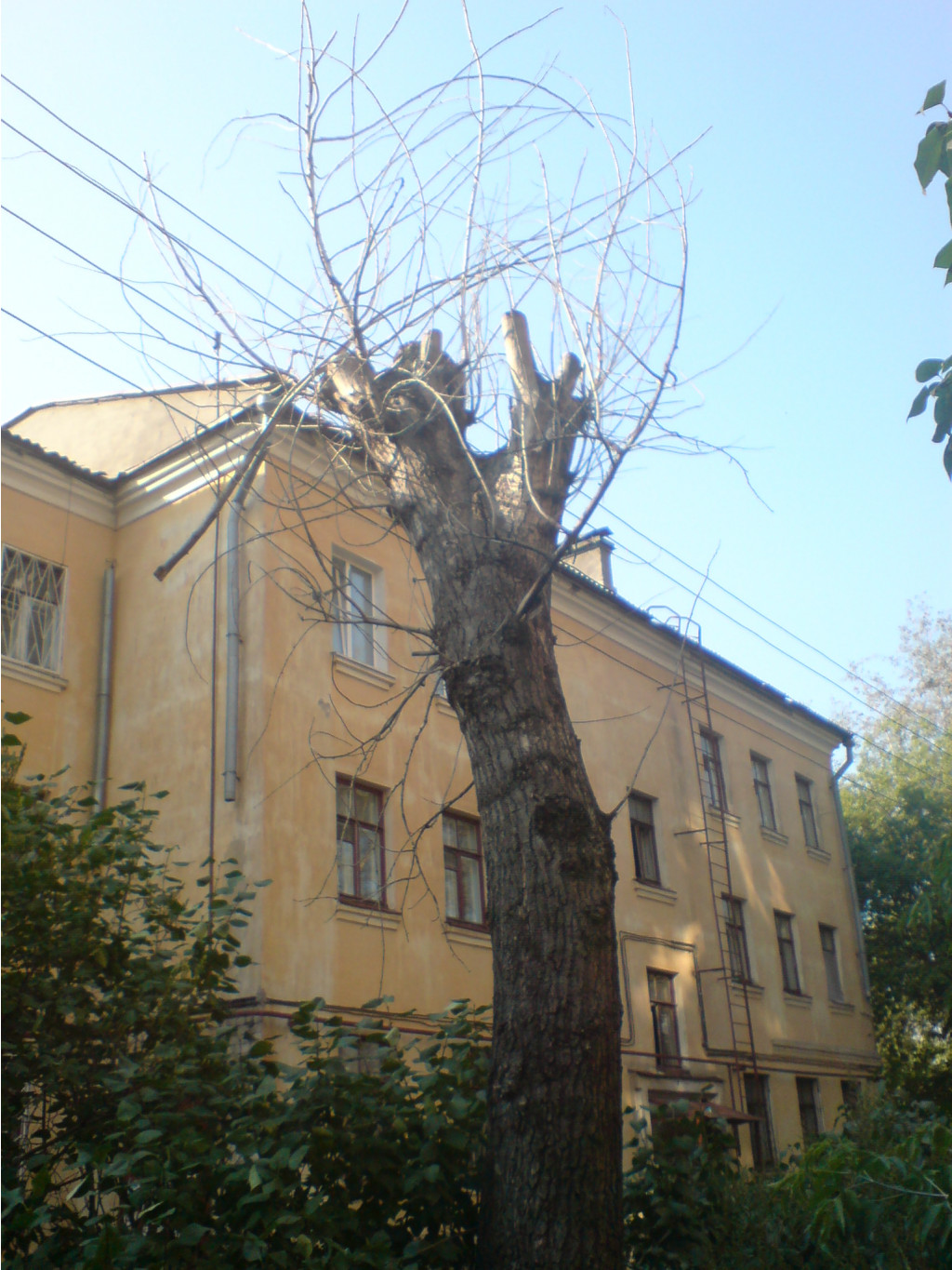 28.11.2007 19:08:25