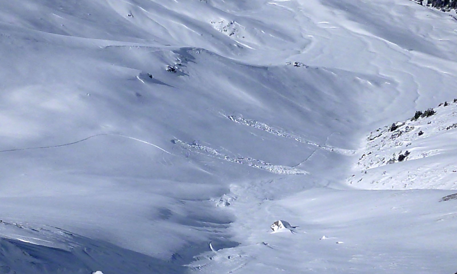 P1000217.jpg