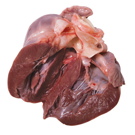 pork_heart_2.jpg