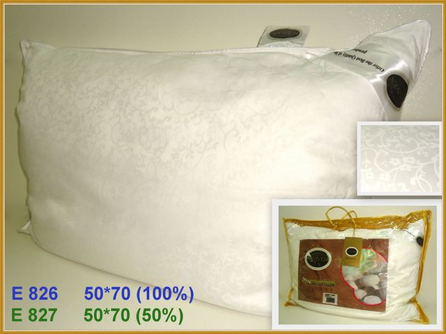 E 826.jpg