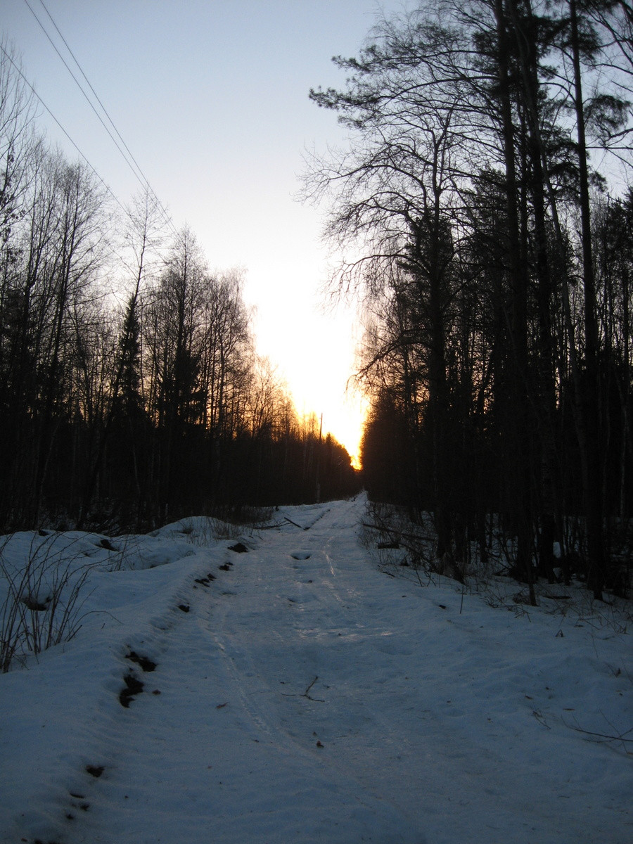 IMG_0037.JPG