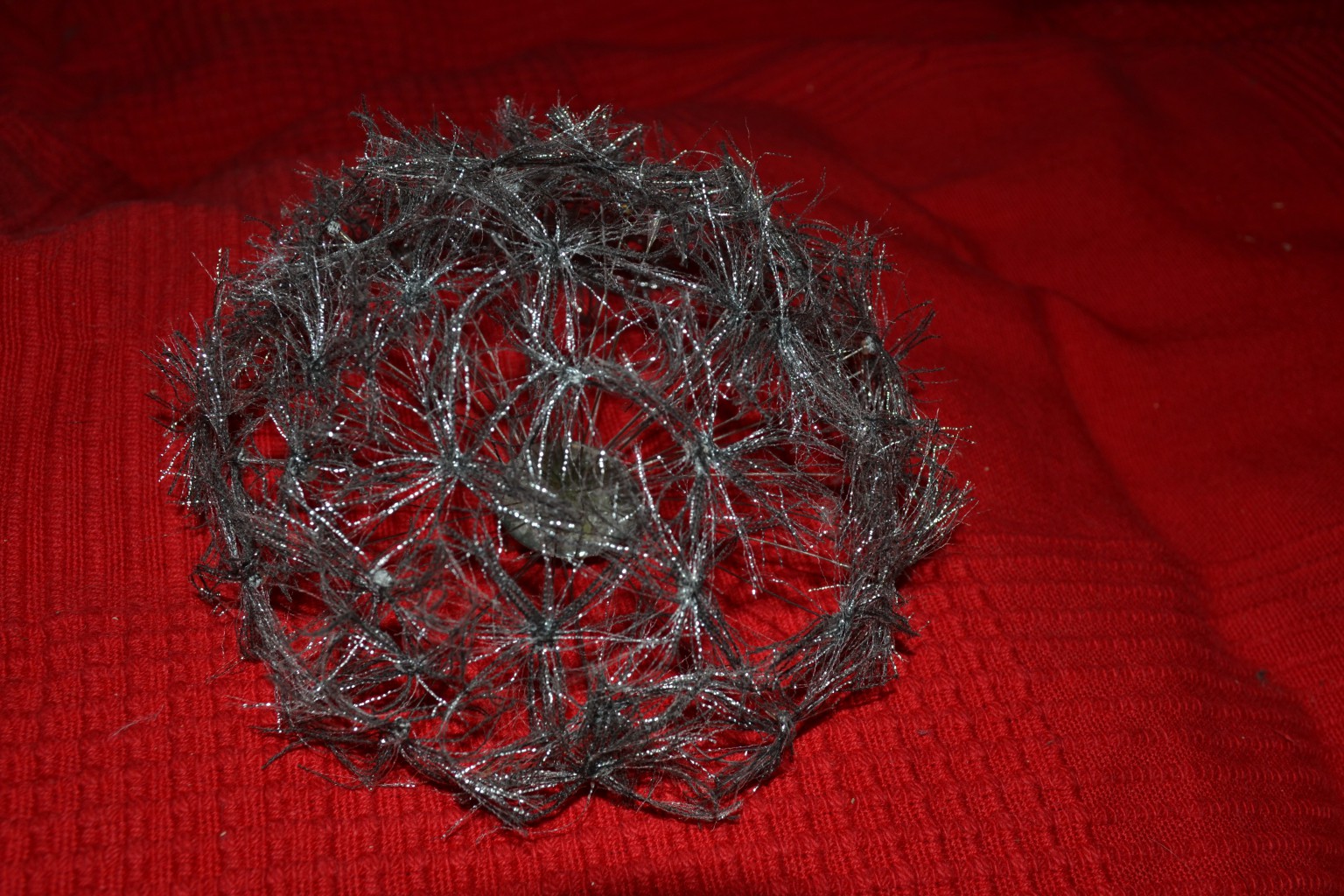 DSC_0004.JPG