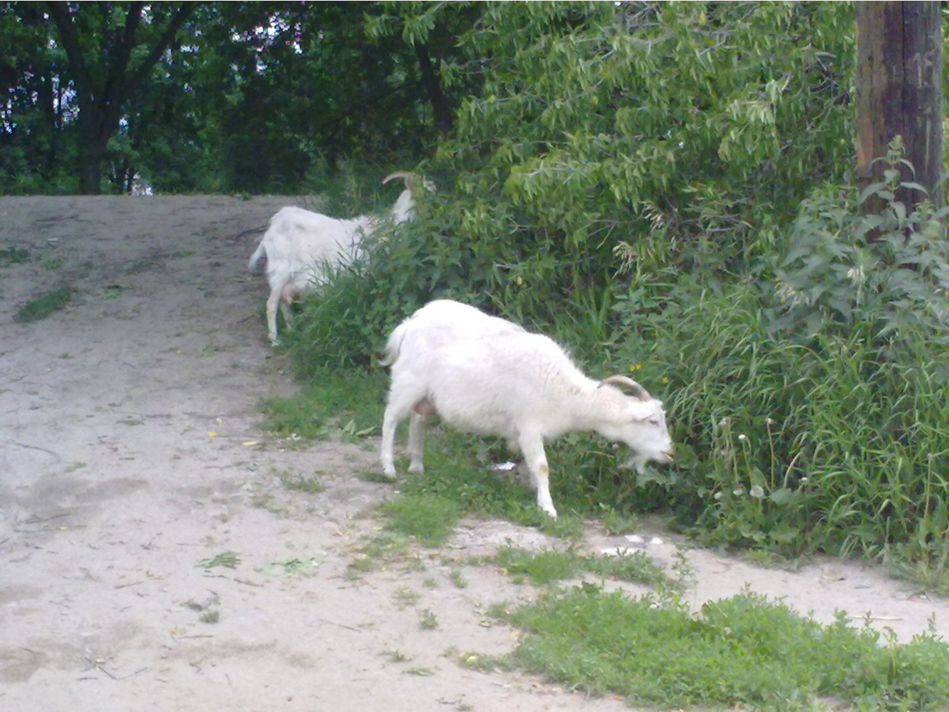 14062010238.jpg
