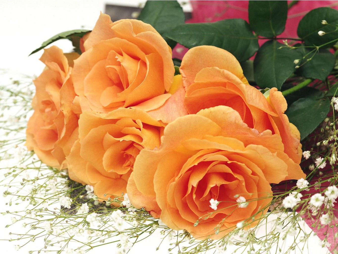 Flowers4.jpg