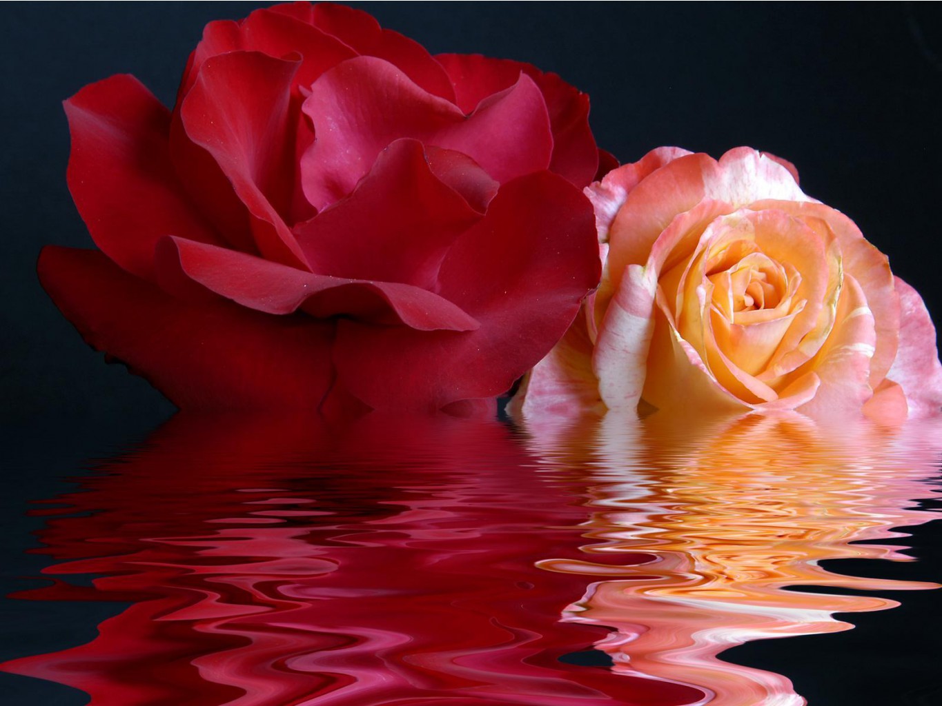 Flowers7.jpg