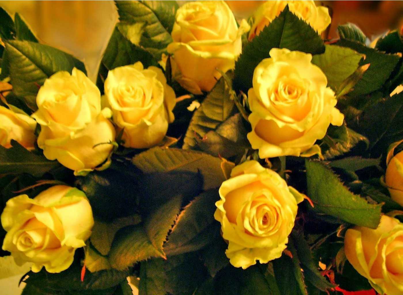 Flowers8.jpg