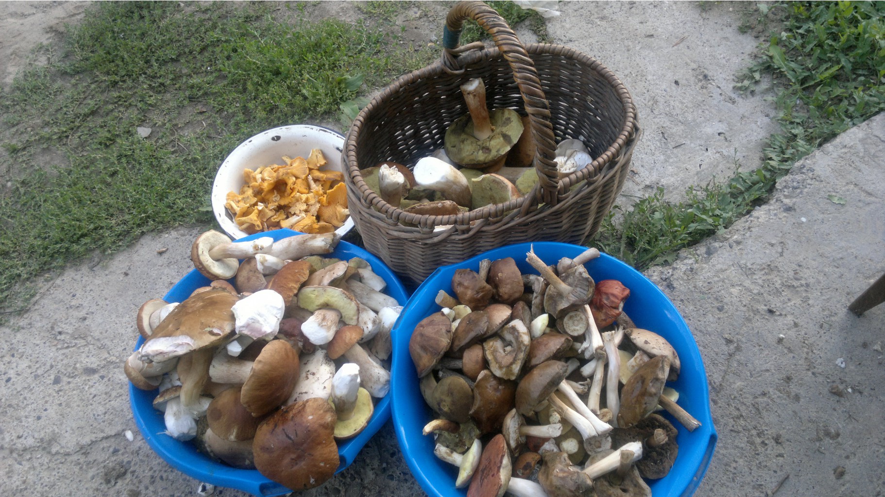 25082012828.jpg
