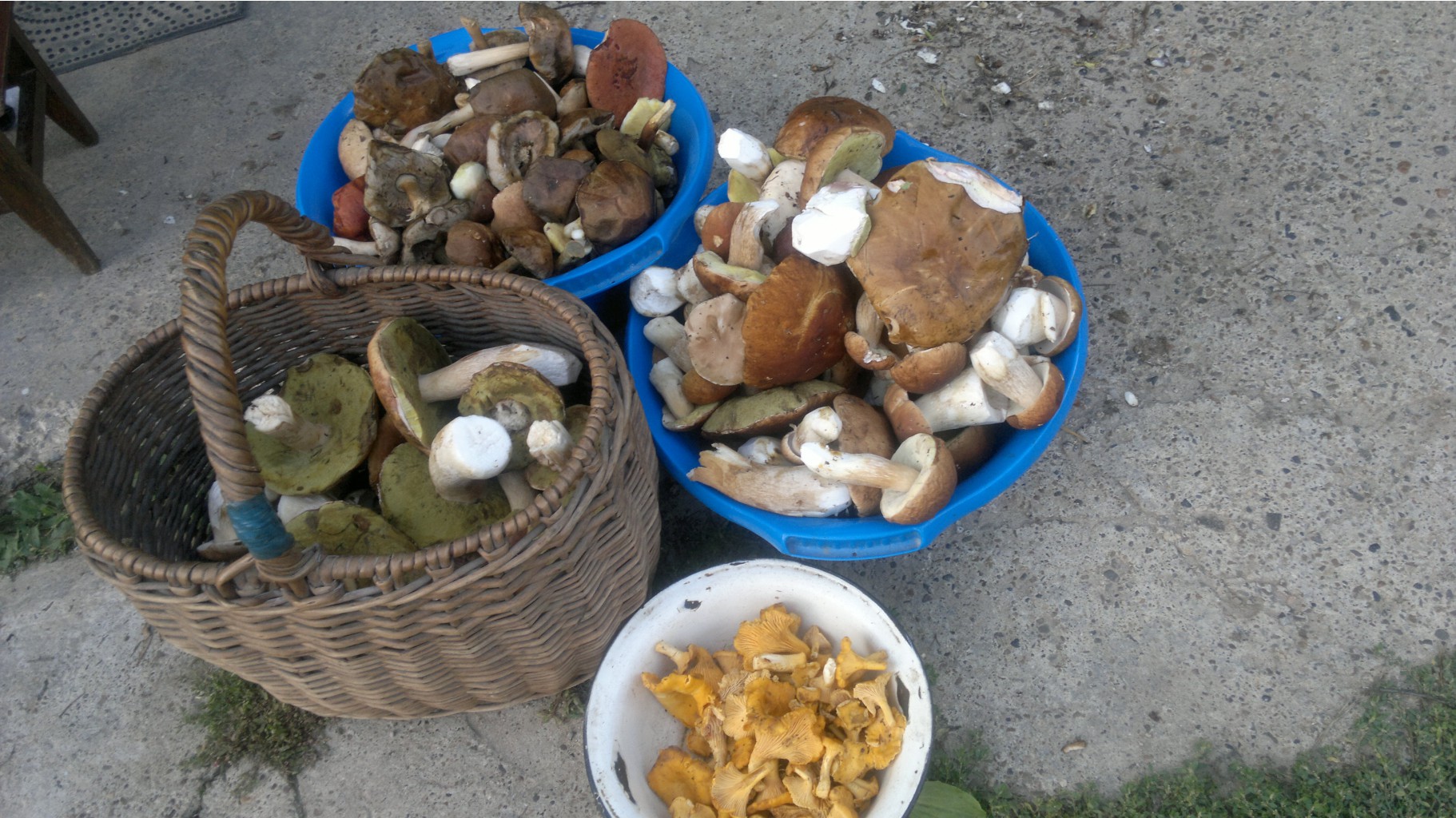 25082012829.jpg