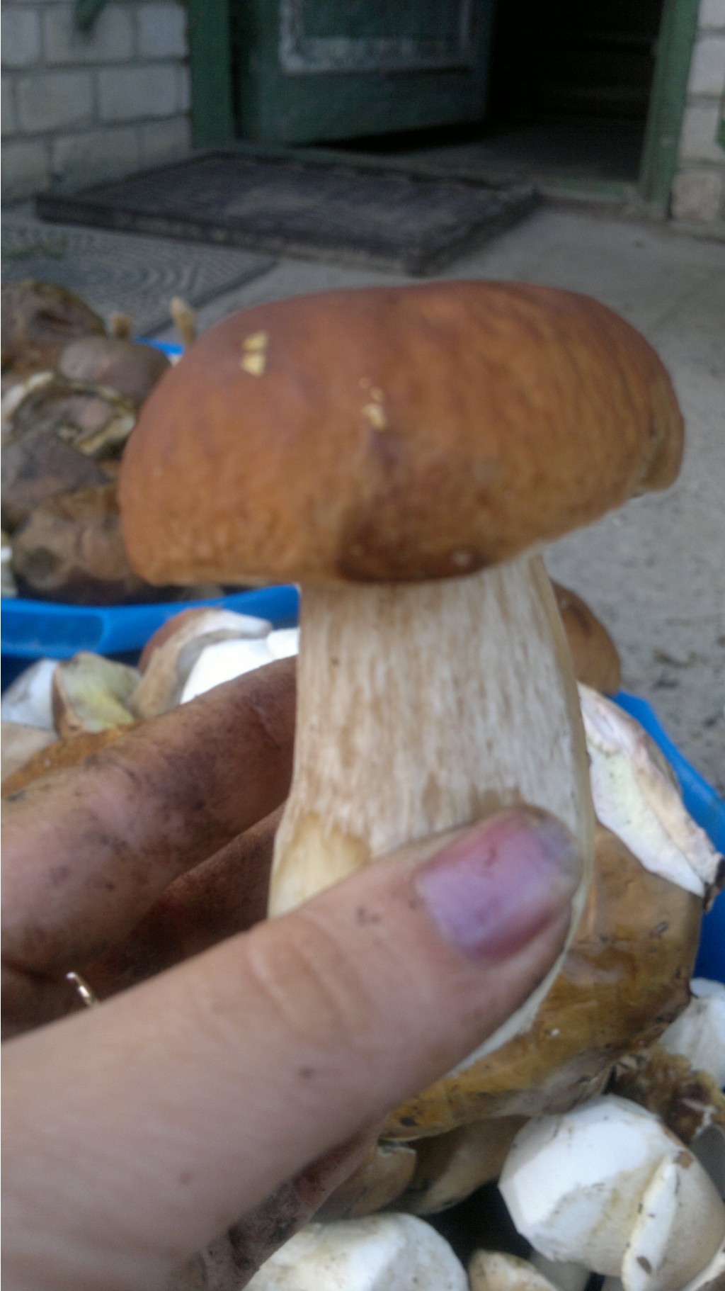 25082012831.jpg