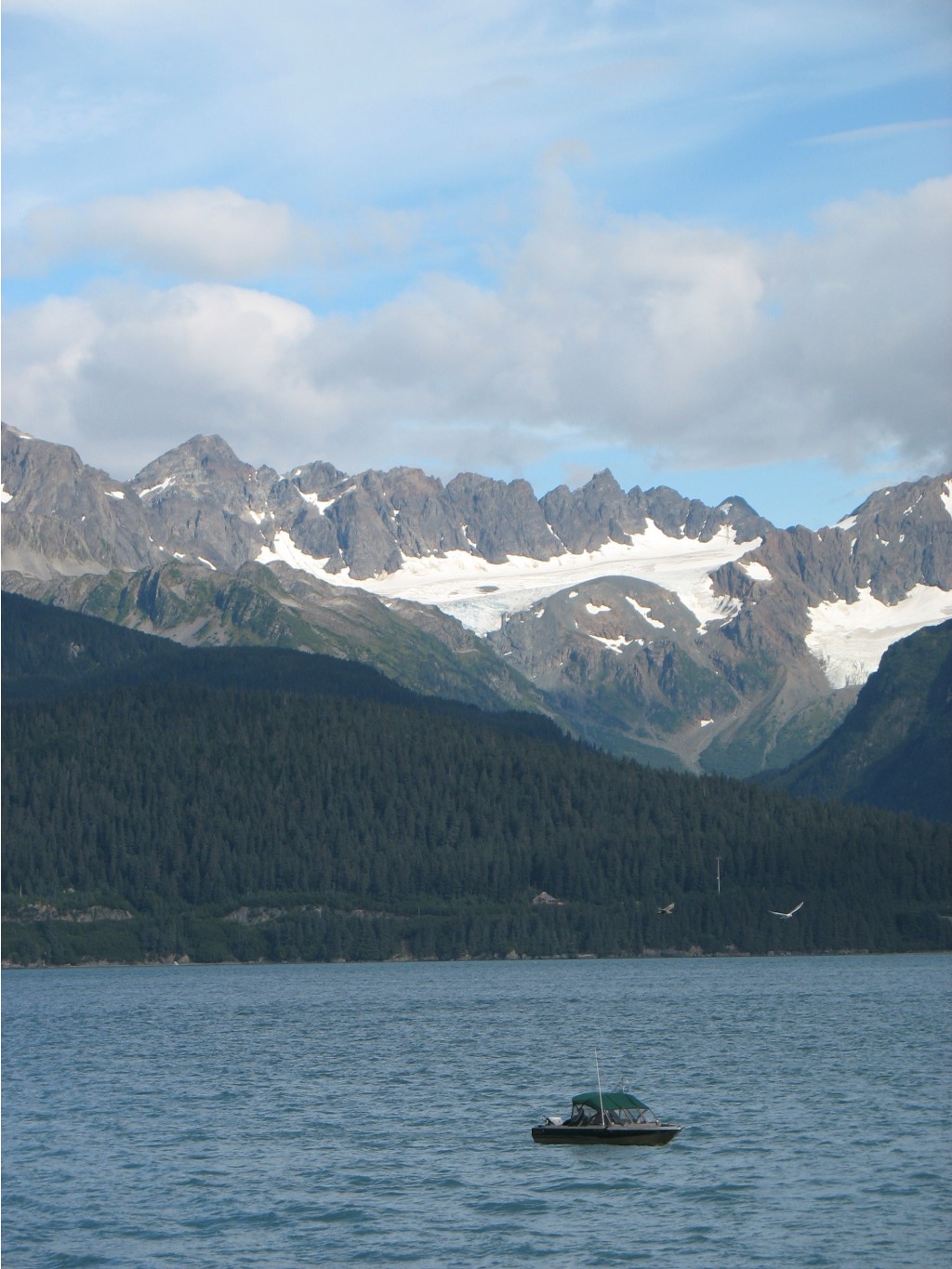 CIMG0298.jpg