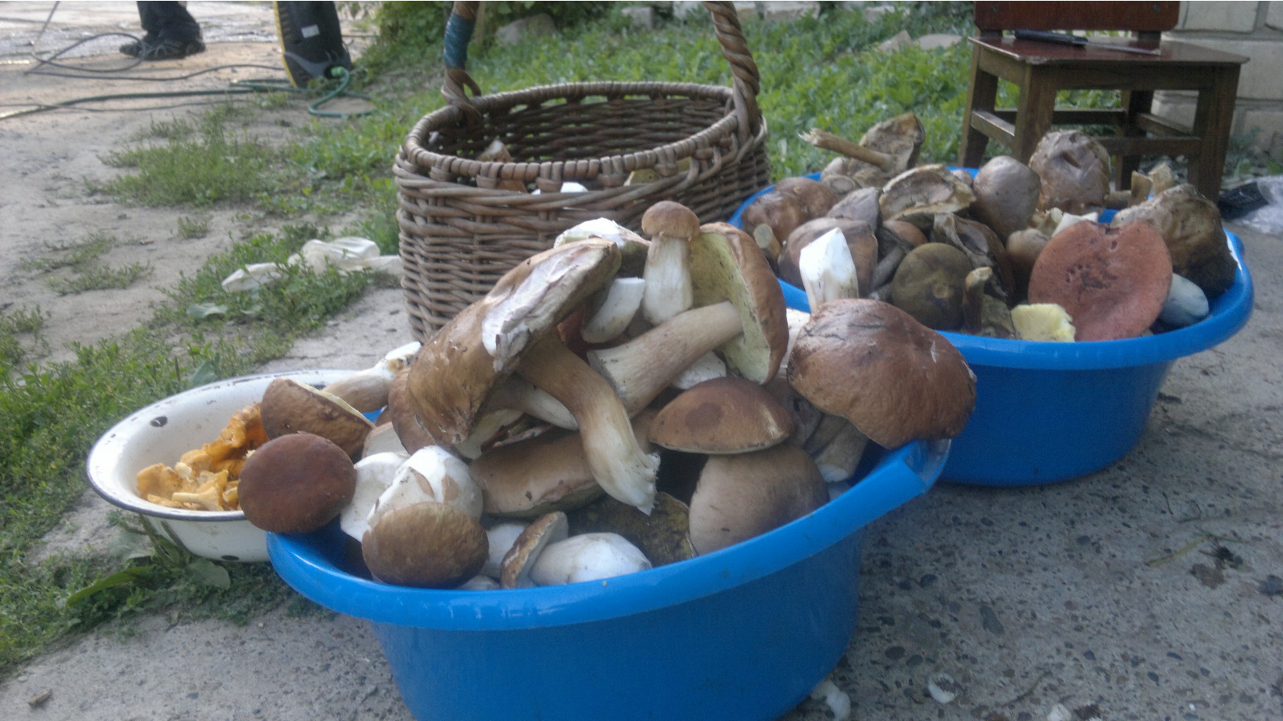 25082012832.jpg