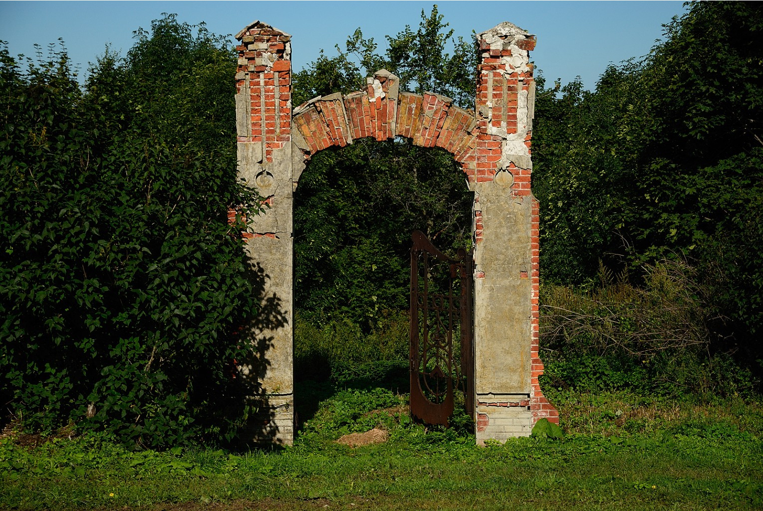 DSC_0200.jpg