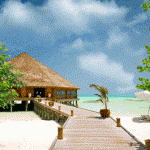 shop6973.jpg