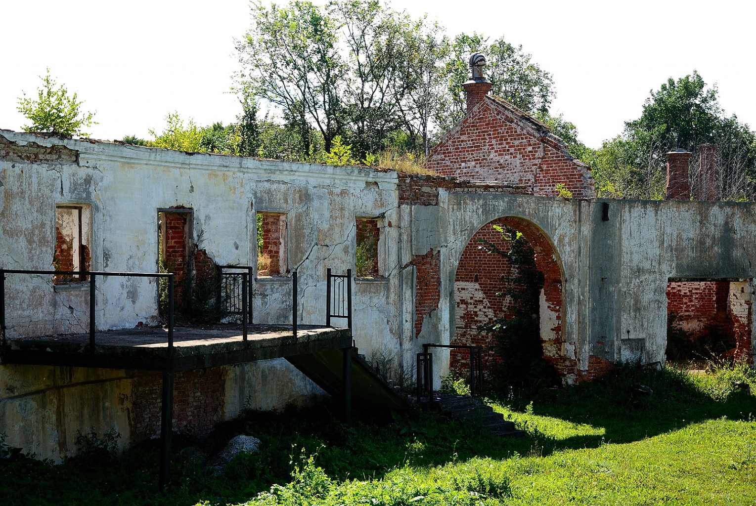 DSC_0252.jpg
