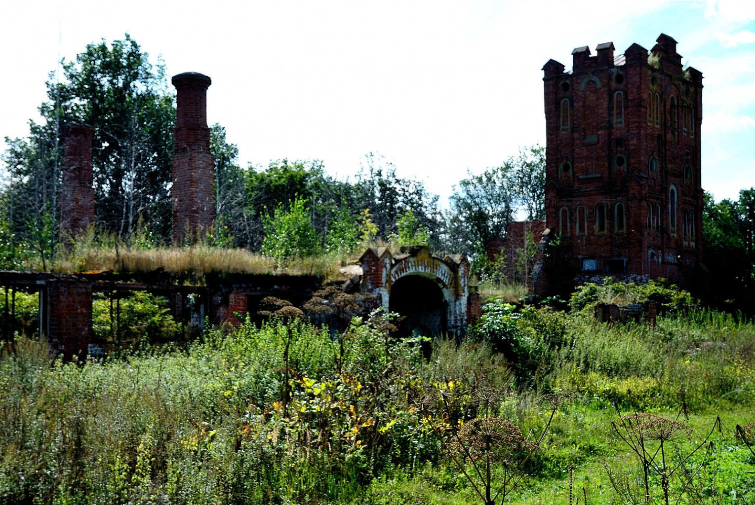 DSC_0287.jpg