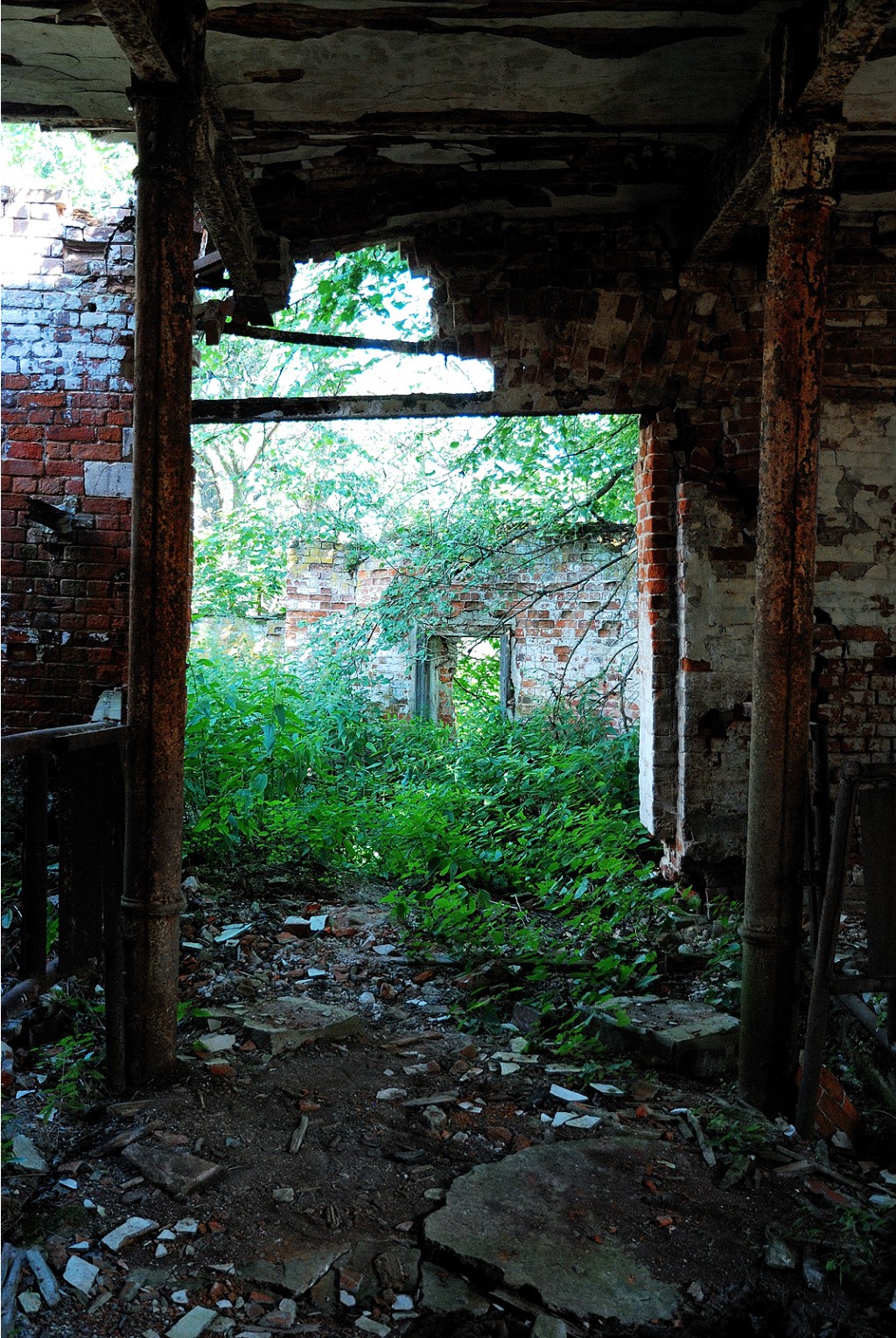 DSC_0296.jpg