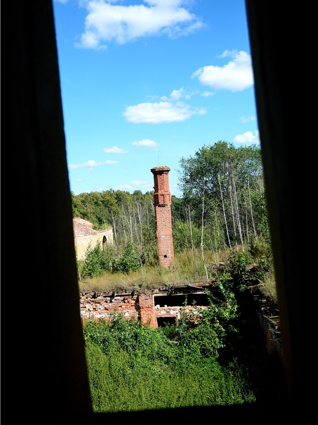 DSC_0302.jpg