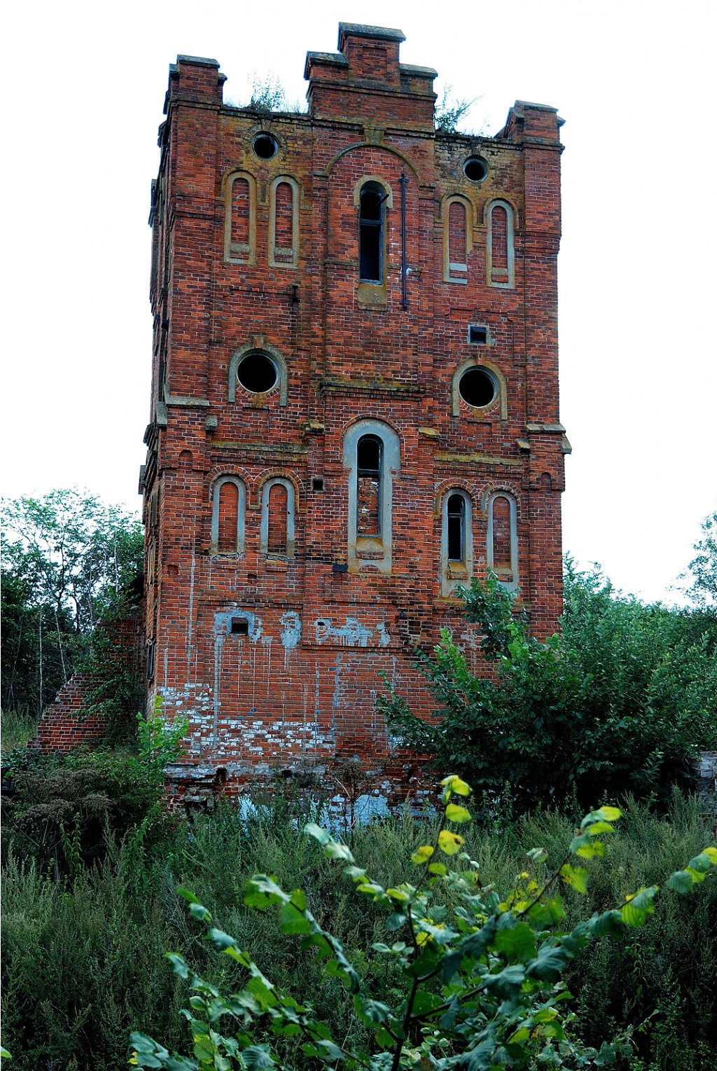DSC_0340.jpg