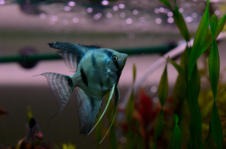 DSC_1853_resize.JPG