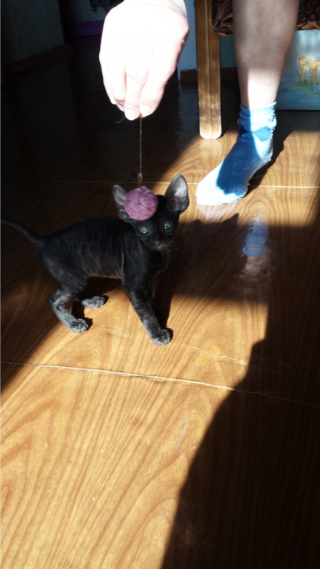 2014-03-05 13.18.42.jpg