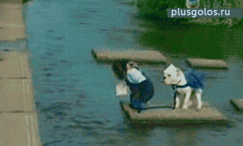 0_8901c_4aef5f44_L.gif