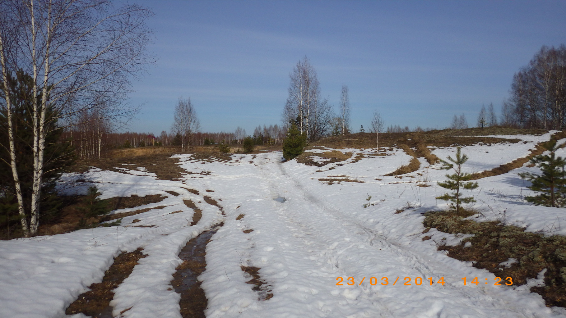 IMGP5207.JPG