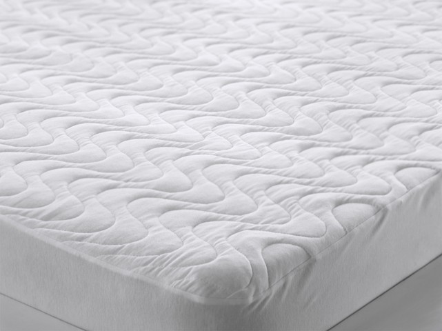  ACELYA FITTED  (200x200)1120+%.JPEG