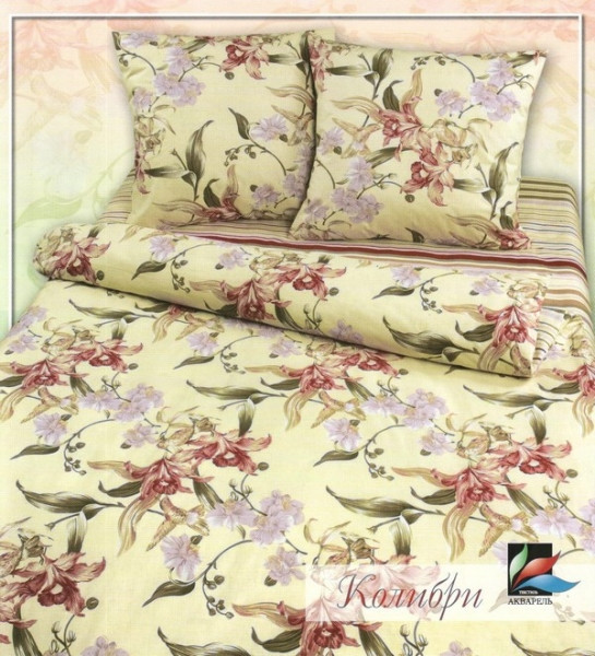9210759.Kolibri.jpg