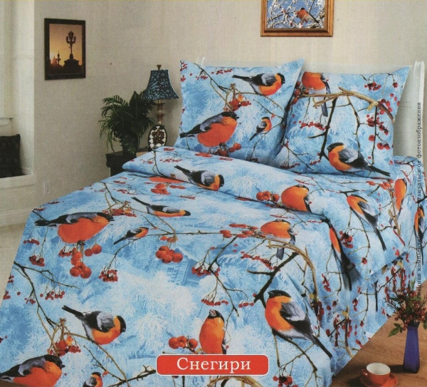 9210681.Snegiri.jpg