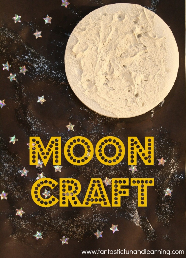 Moon-Craft-738x1024.jpg