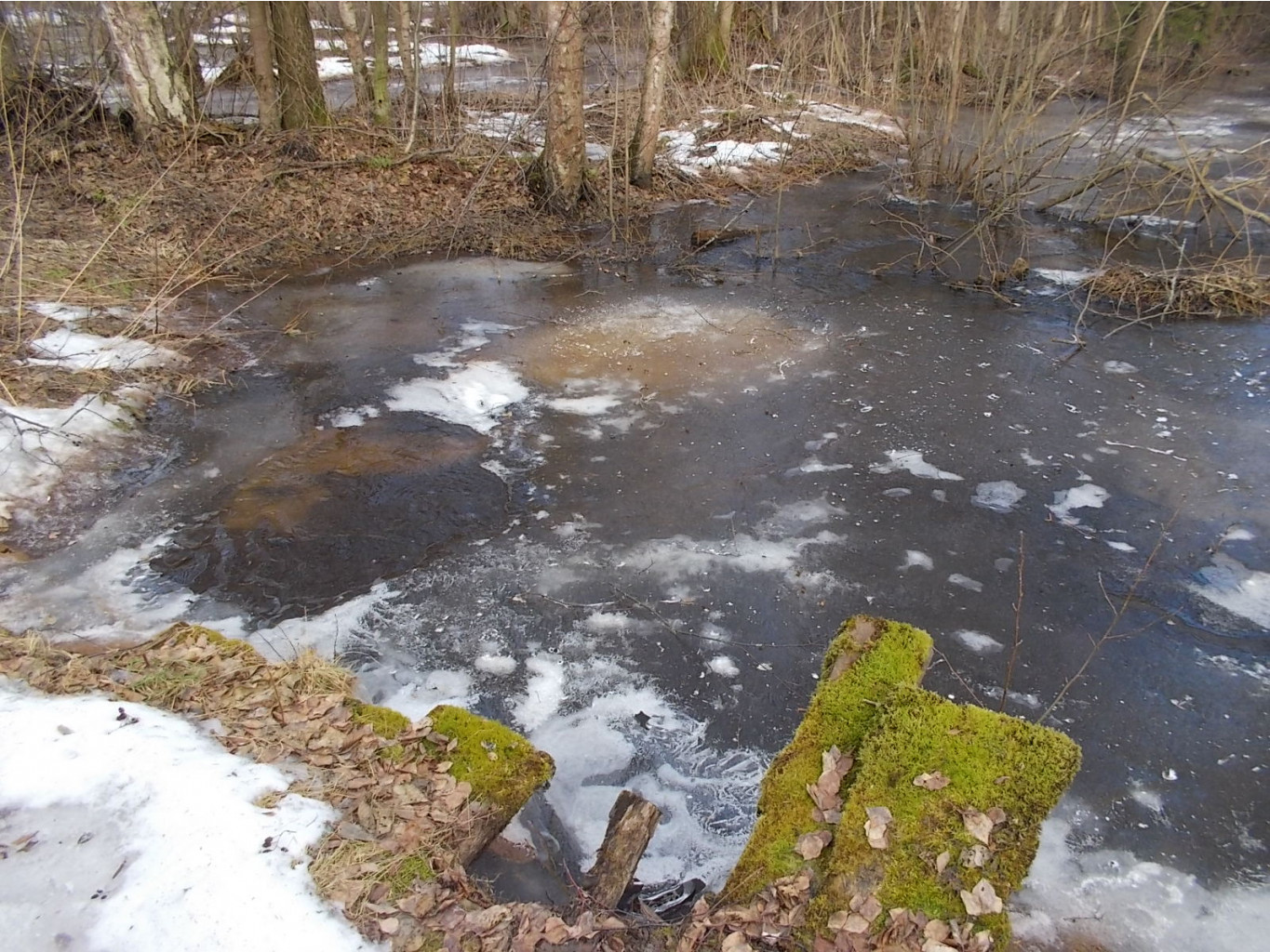 DSCN5079.JPG