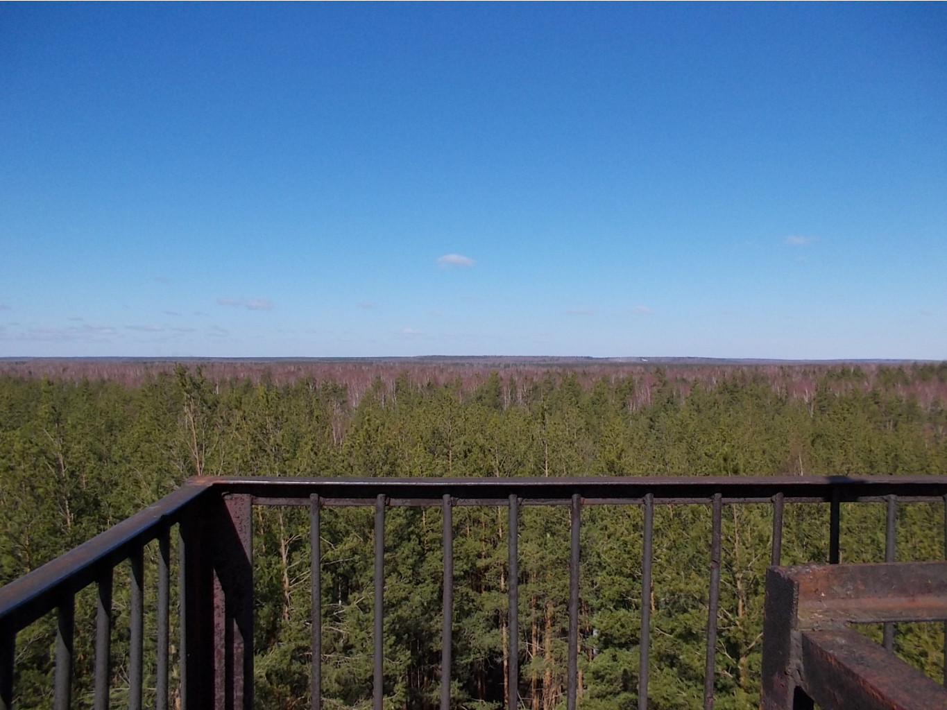 DSCN5098.JPG