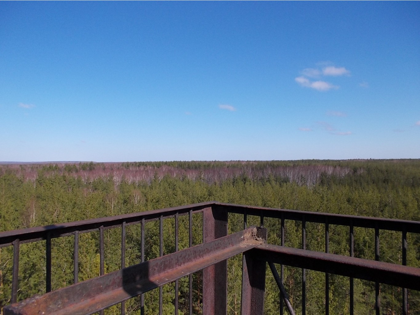 DSCN5099.JPG