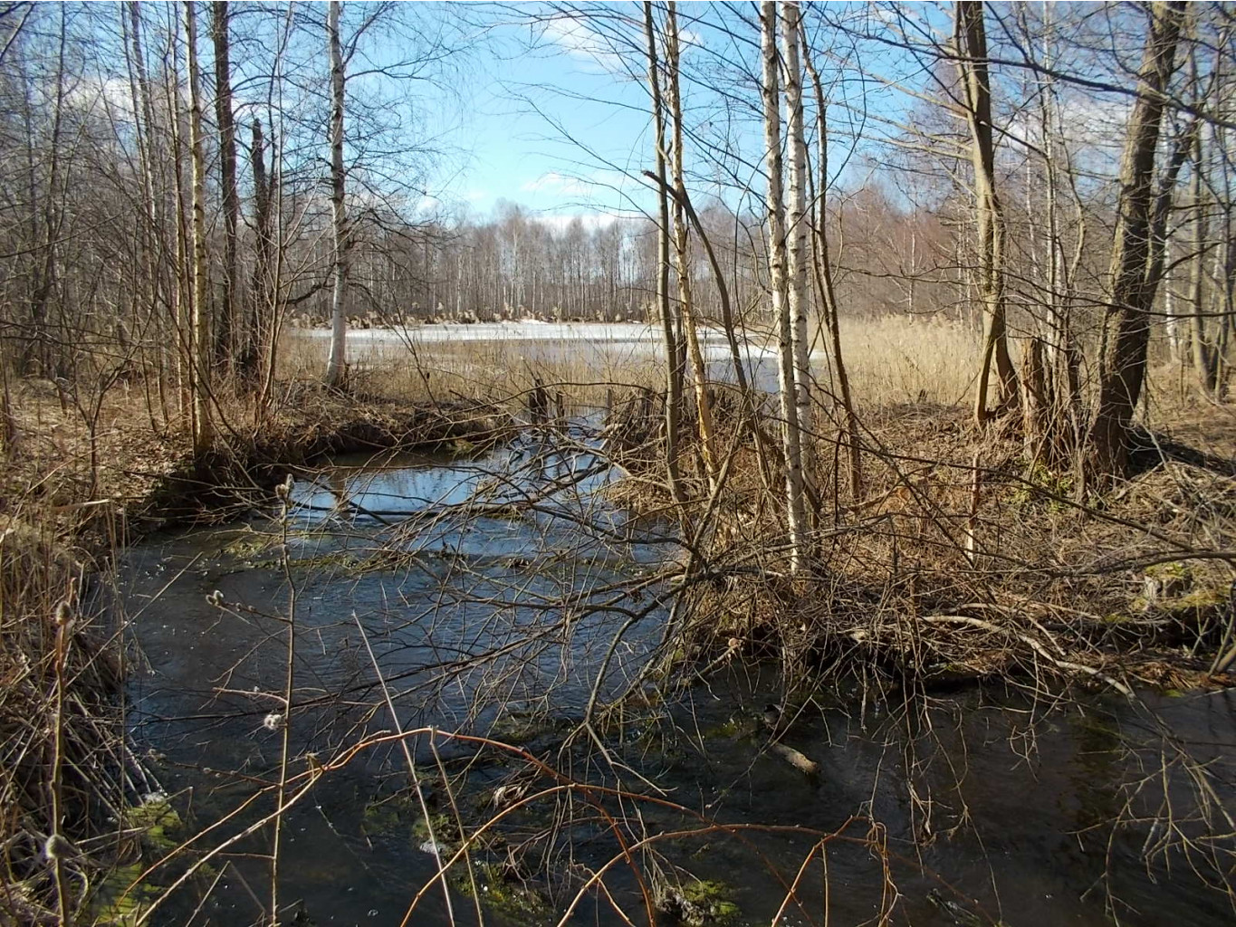 DSCN5107.JPG