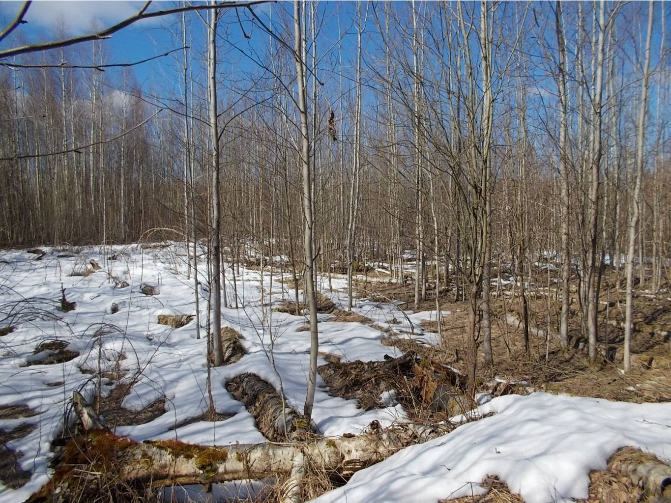 DSCN5109.JPG
