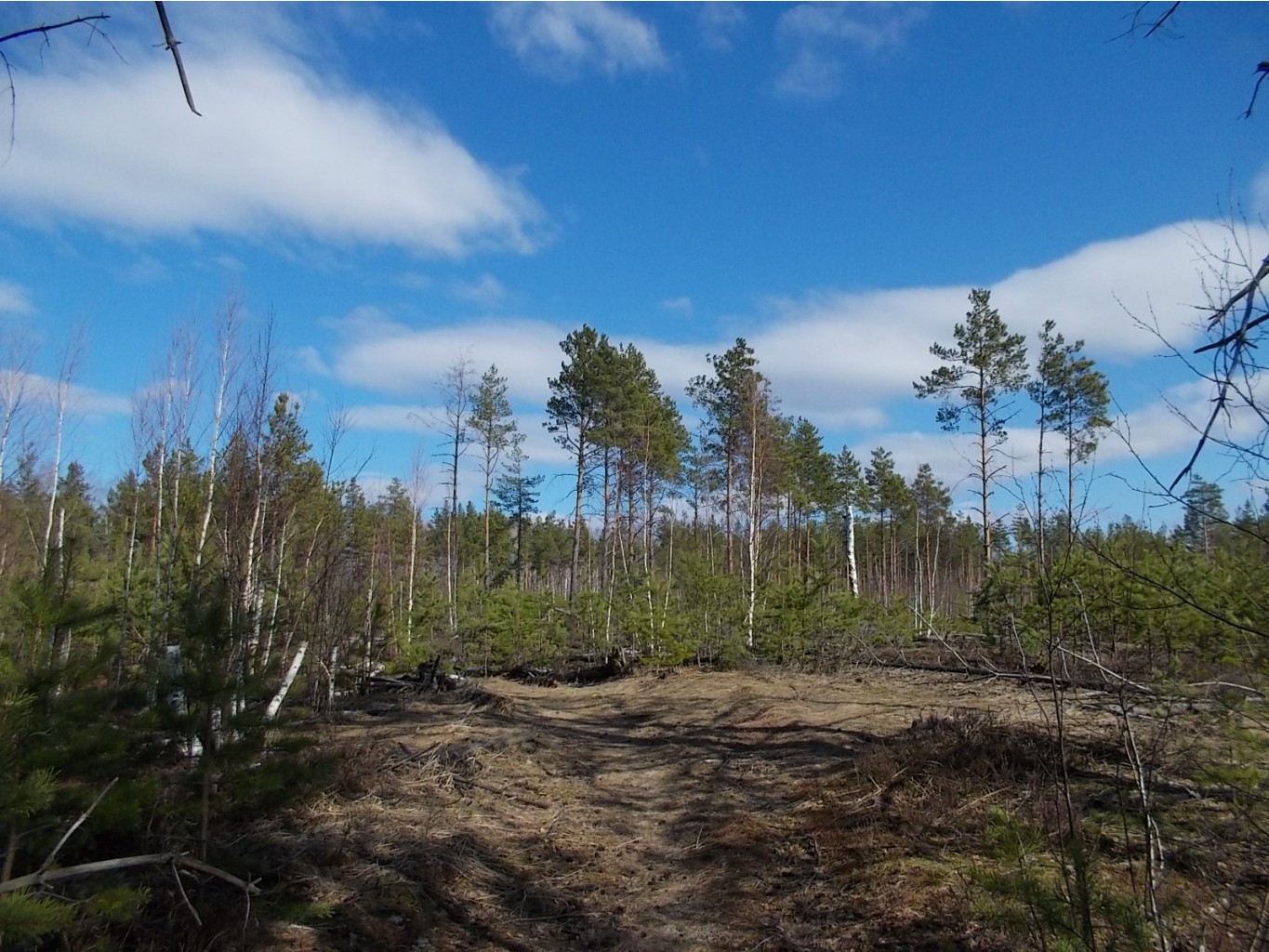 DSCN5111.JPG