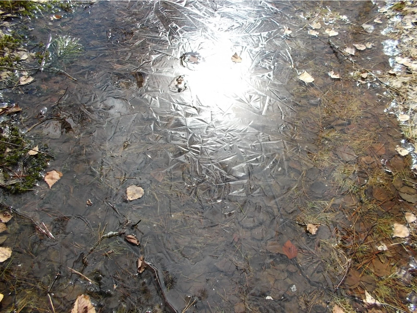 DSCN5114.JPG