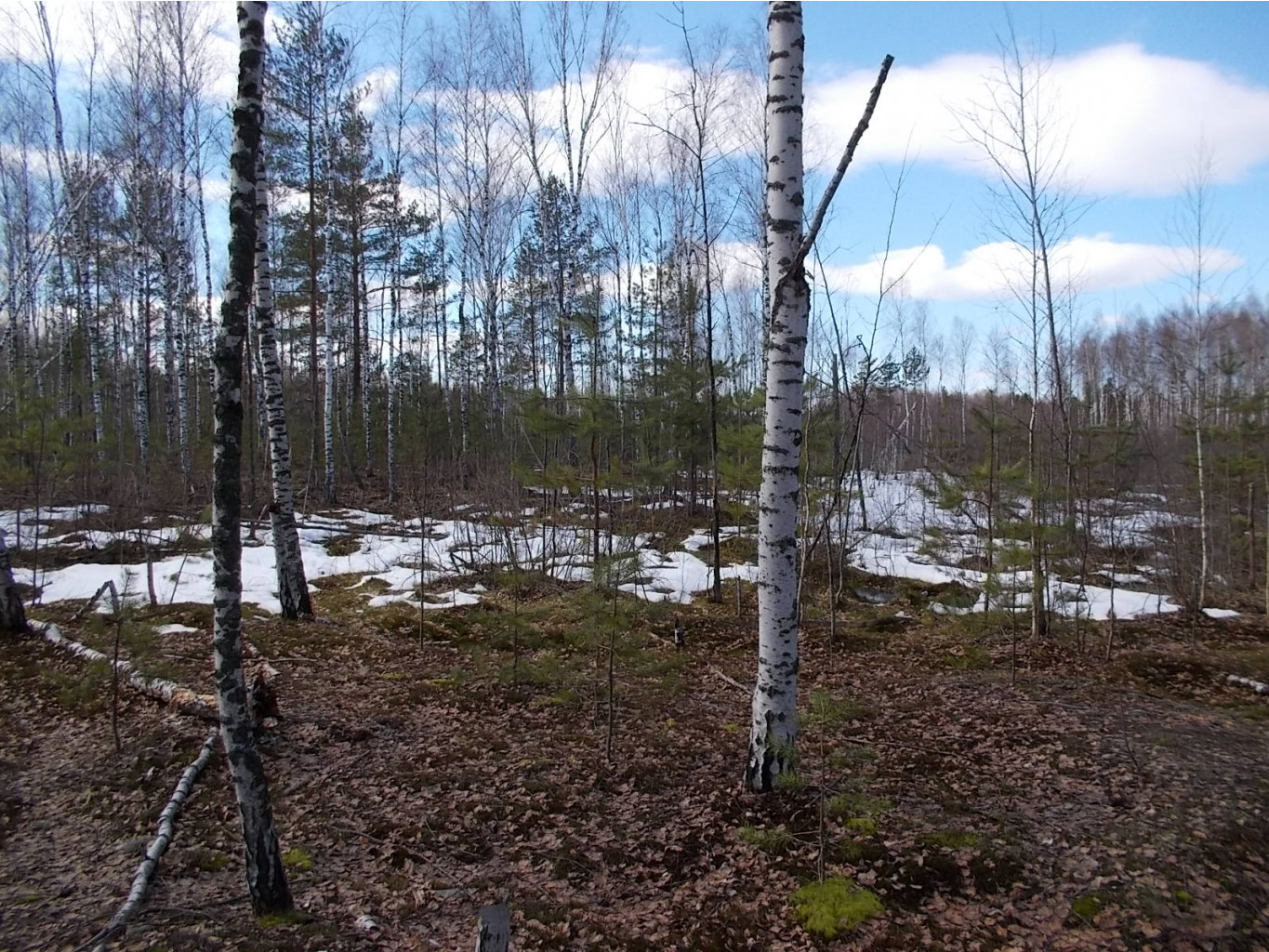 DSCN5115.JPG