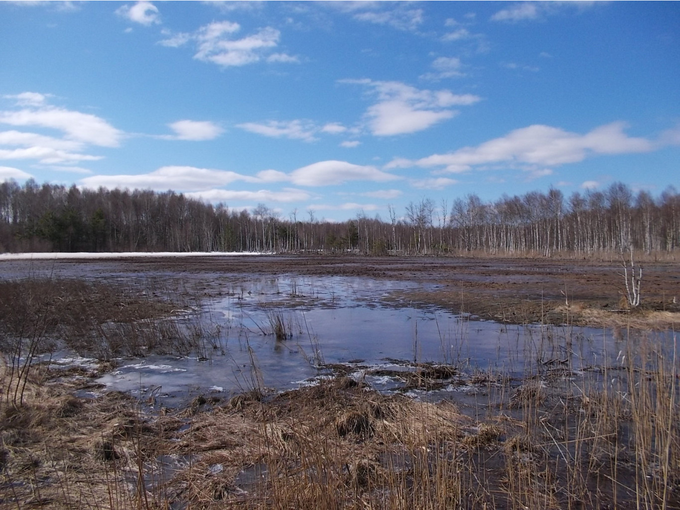 DSCN5121.JPG