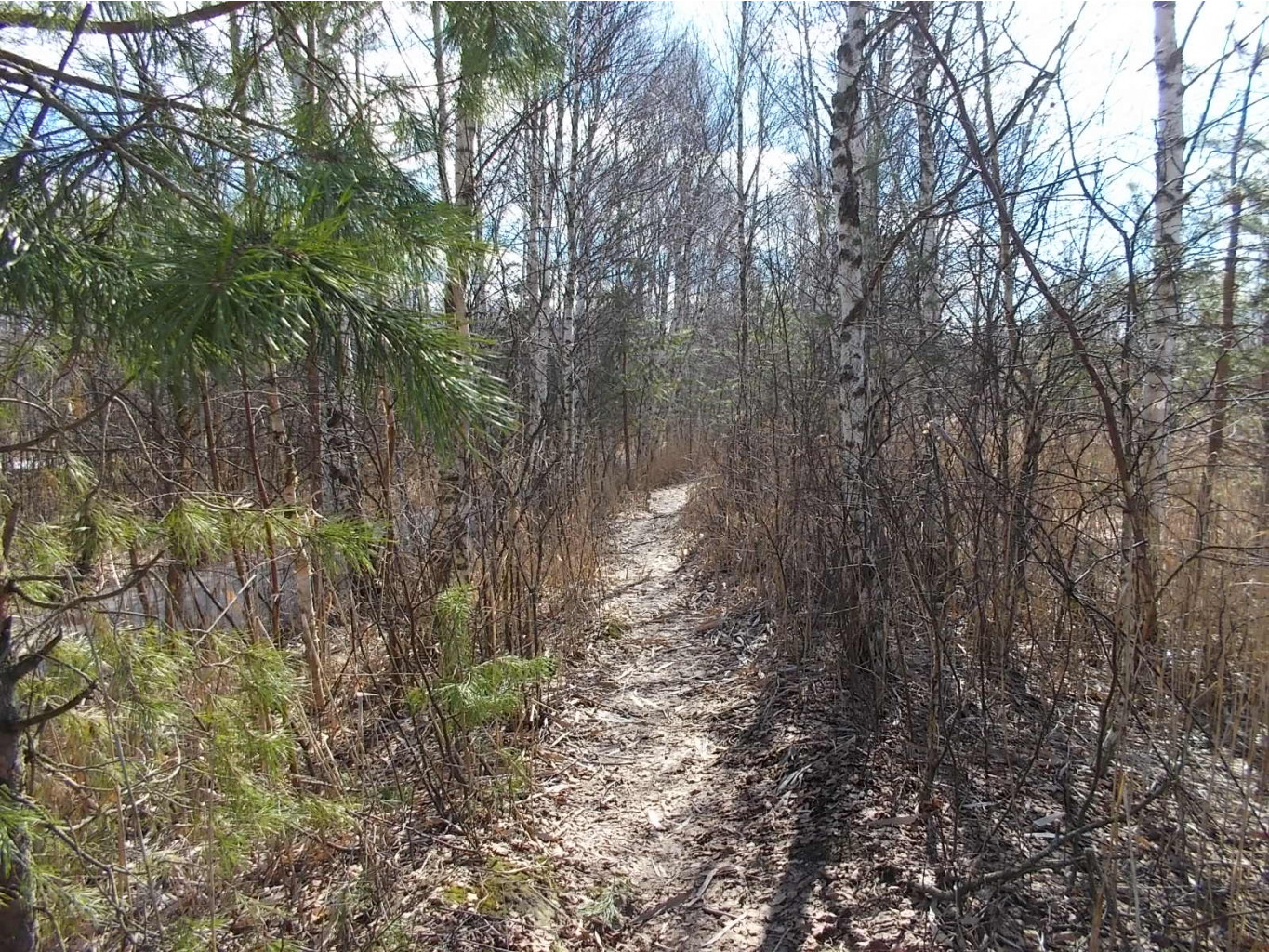 DSCN5123.JPG