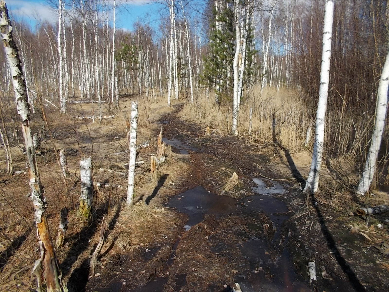 DSCN5125.JPG