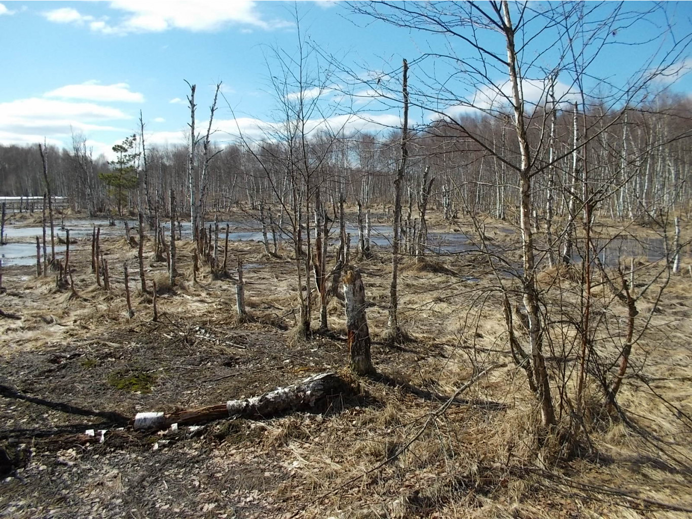 DSCN5127.JPG