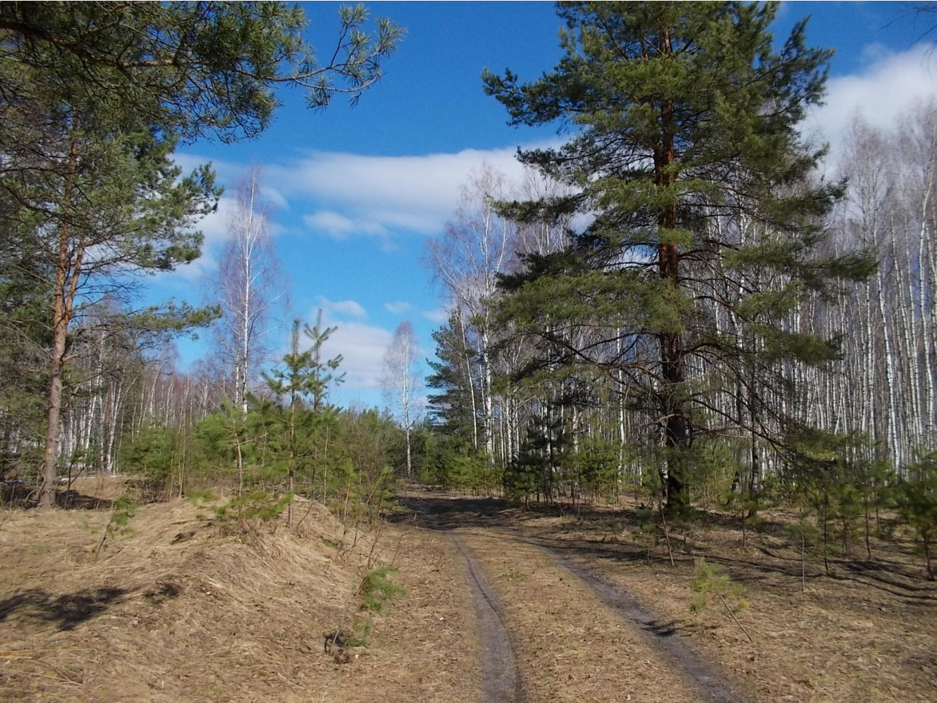 DSCN5128.JPG