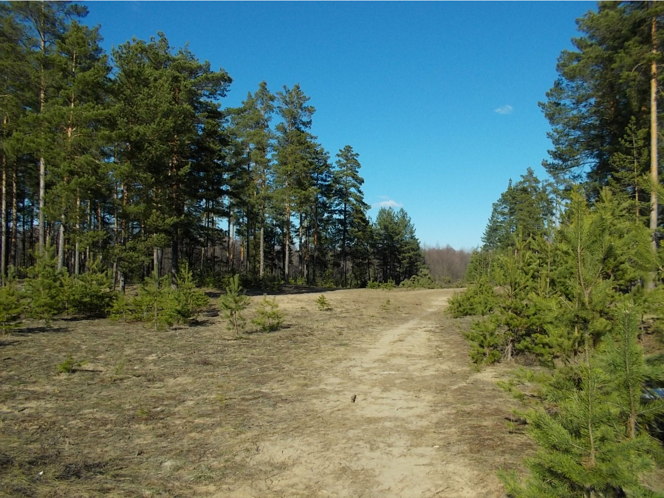 DSCN5139.JPG